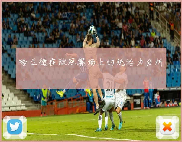 哈兰德在欧冠赛场上的统治力分析